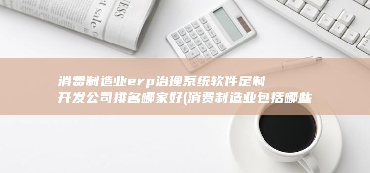 消费制造业erp治理系统软件定制开发公司排名哪家好