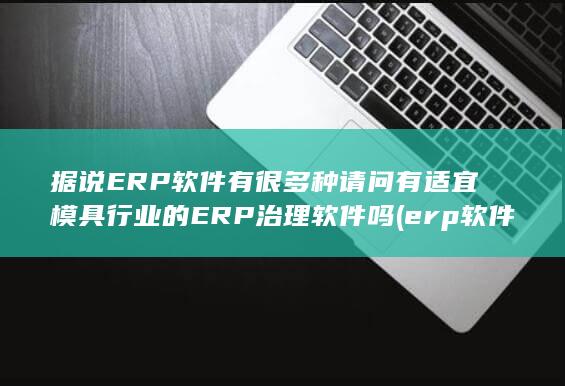 据说ERP软件有很多种