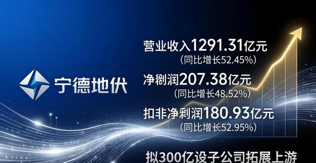 年同比年环比增长__季度同比